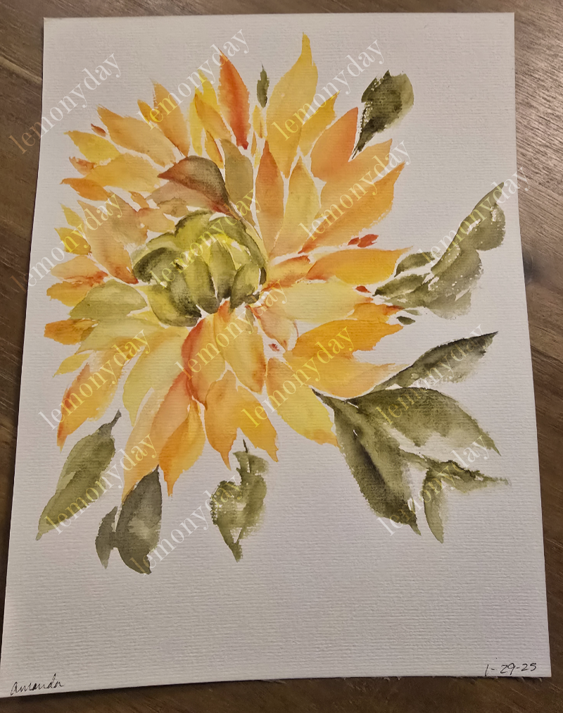dahlia